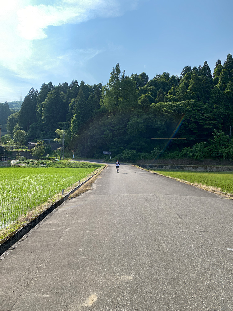 走って来た~